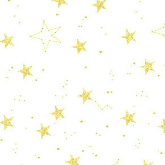 Lucky Star Minky Fabric 